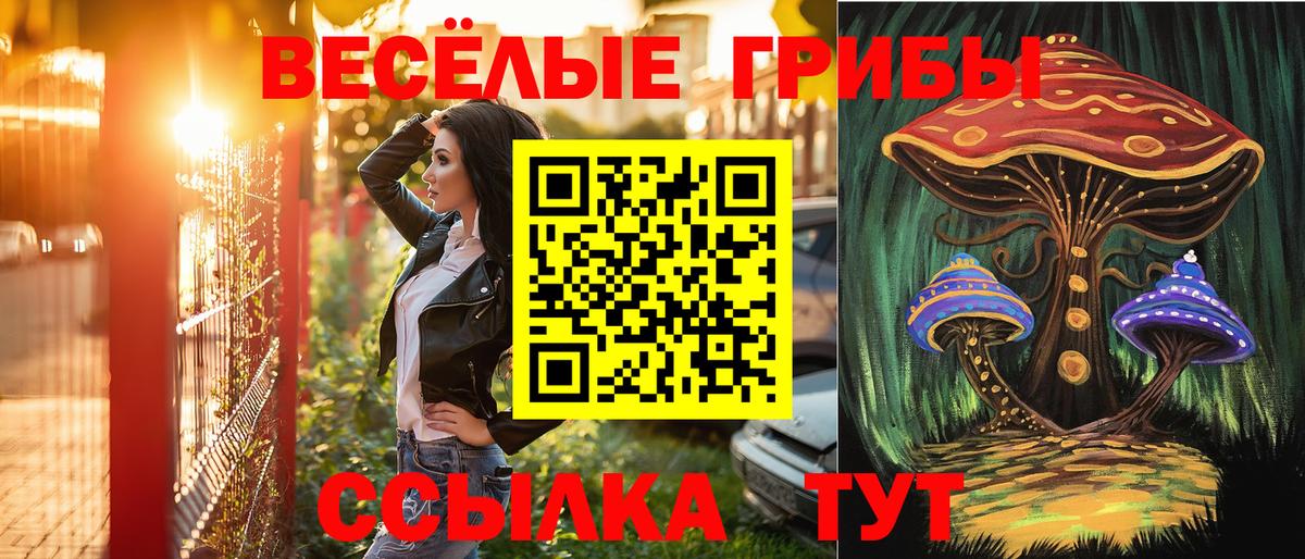 Галлюциногенные грибы GOLDEN TEACHER  Вход с VPN  Усть-Джегута 